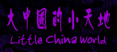 Little China World - 大中国的小天地 - 爱和学习中国文化的外国人